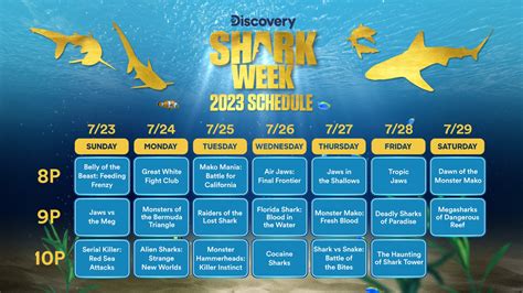 discovery tv schedule.